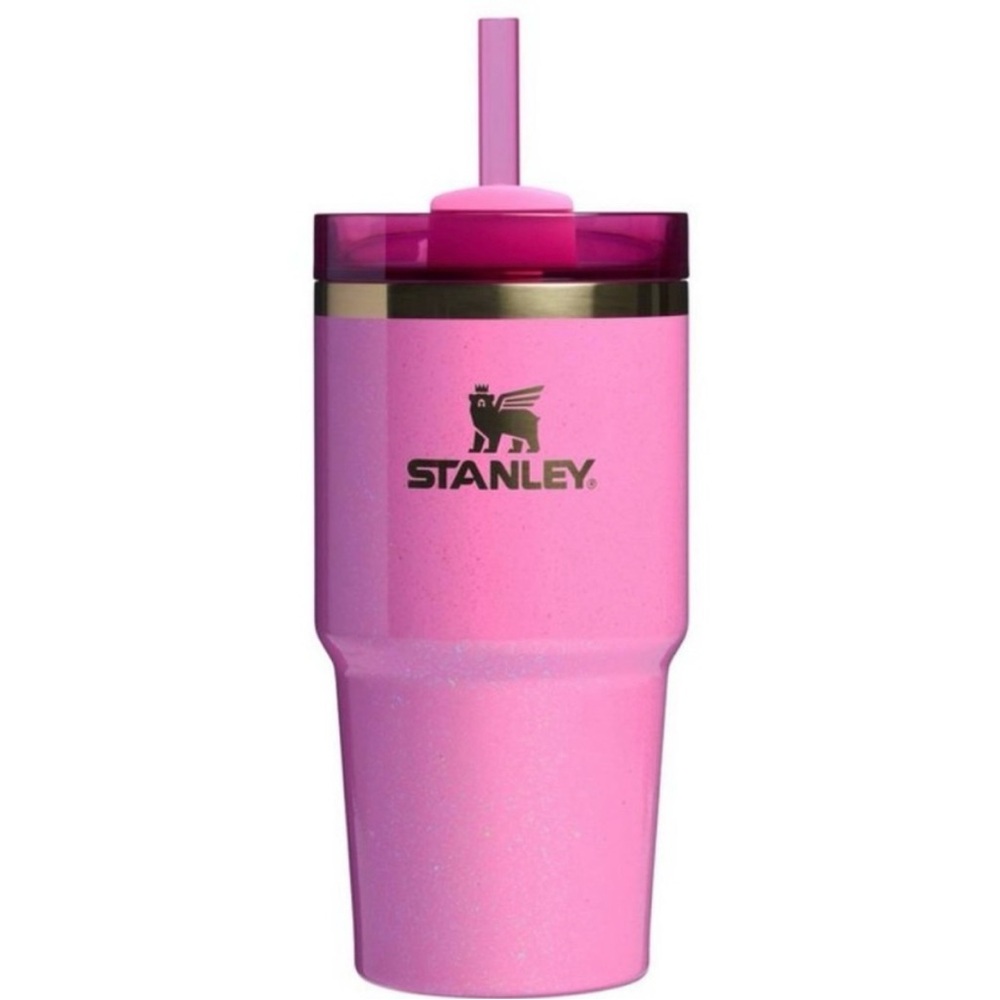 Wicked Stanley Cup - Glinda